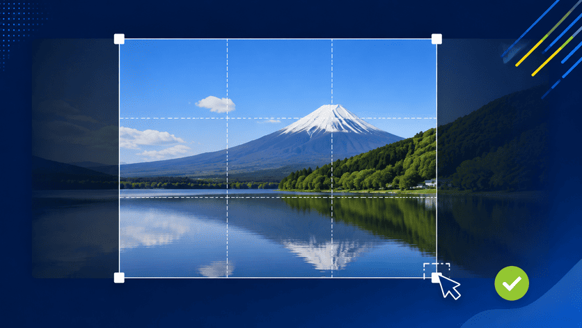 プロが教えるトリミングのコツ